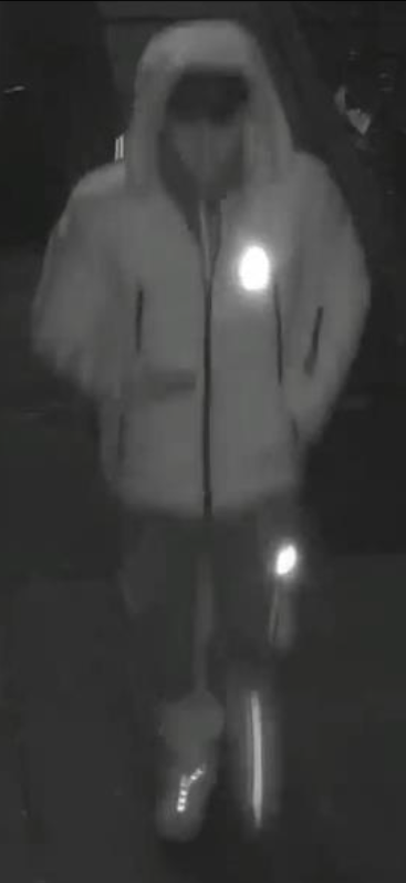 CCTV - robbery image 3.png