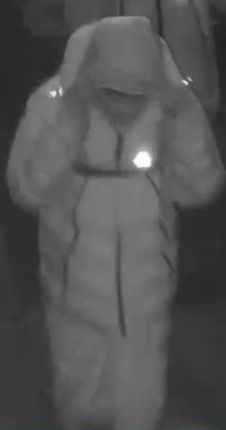 CCTV - robbery image 4.png