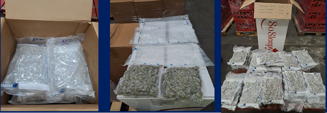 Cannabis seized
