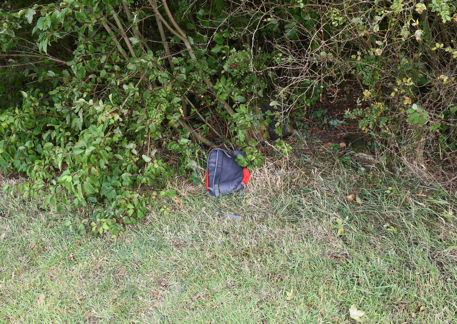 Linnet Way seizure 2.jpg