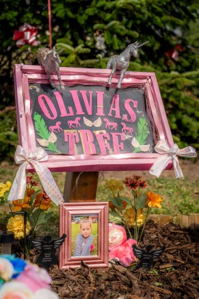 Olivia's Tree-01.jpg