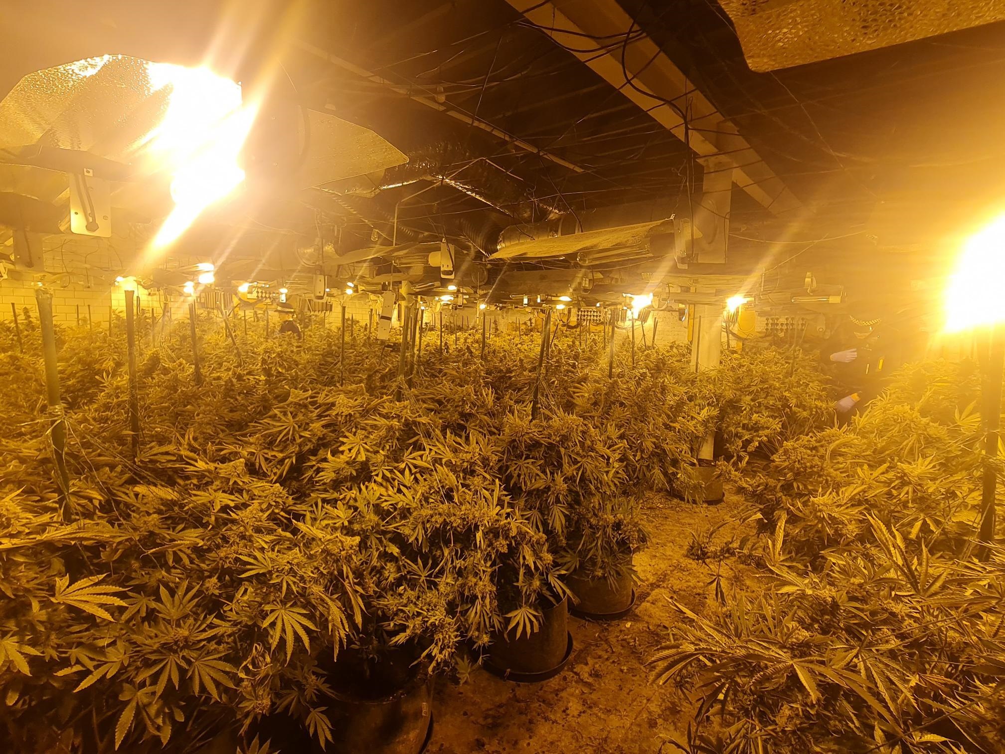 UNDER GROUND GROW ROOM - kitchen street.jpg