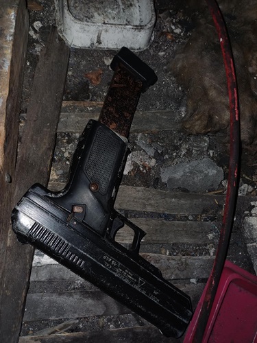 Gun