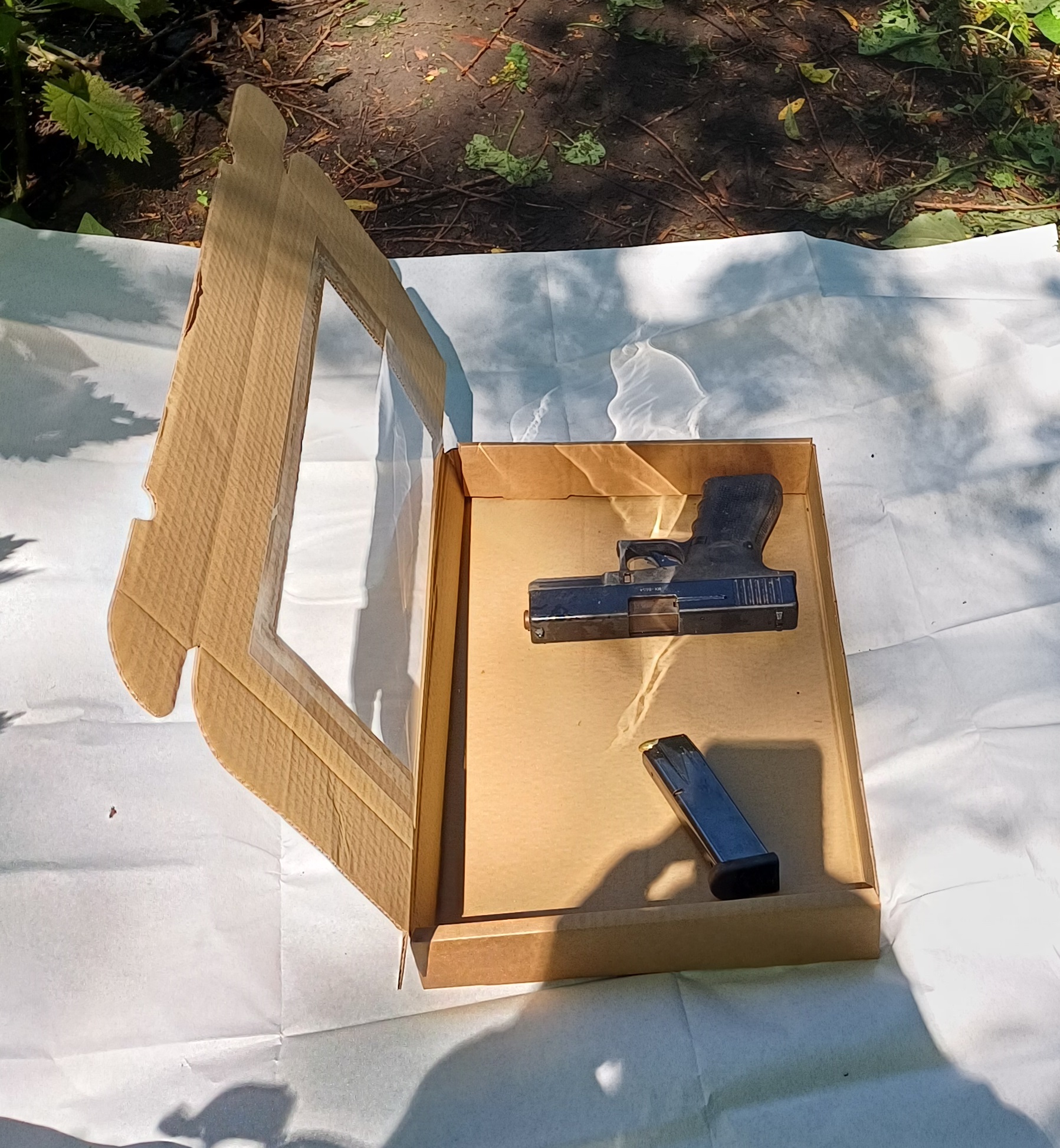 Firearm in Moreton-1.jpg